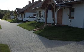 Zielony-Bursztyn